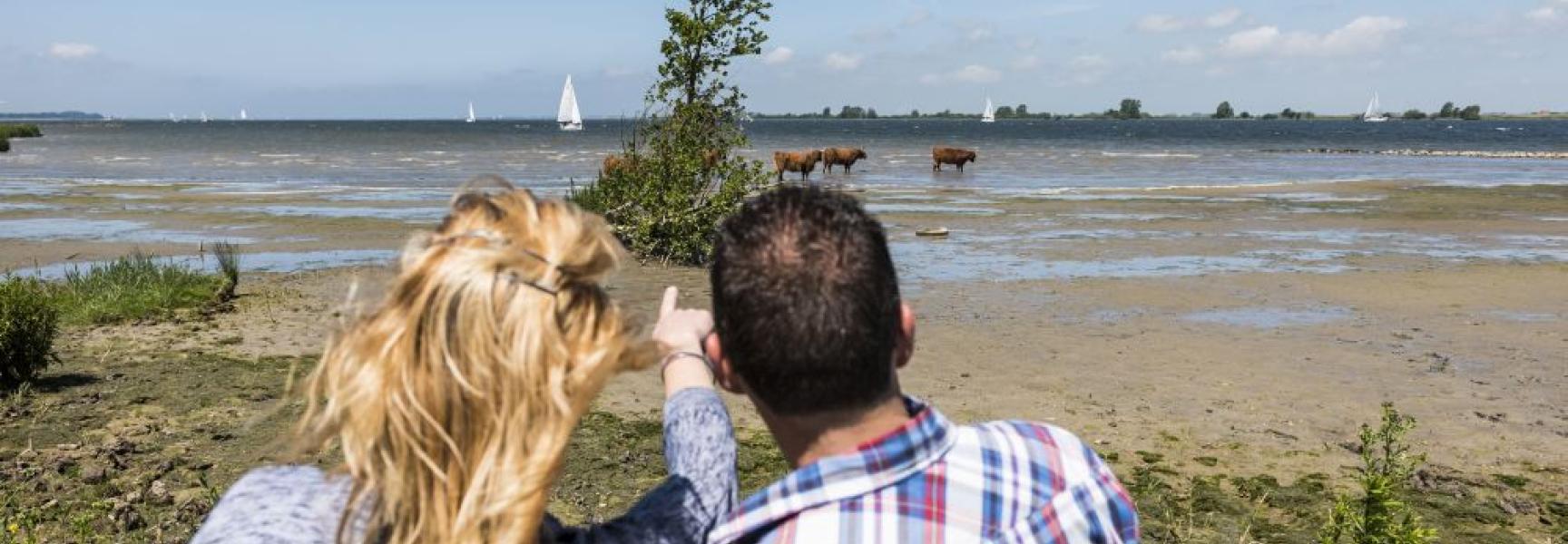 In de natuur bij het Haringvliet, foto: Natuurmonumenten
