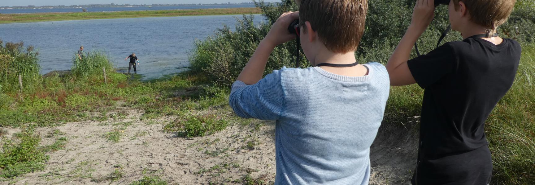 Veldles langs het Haringvliet