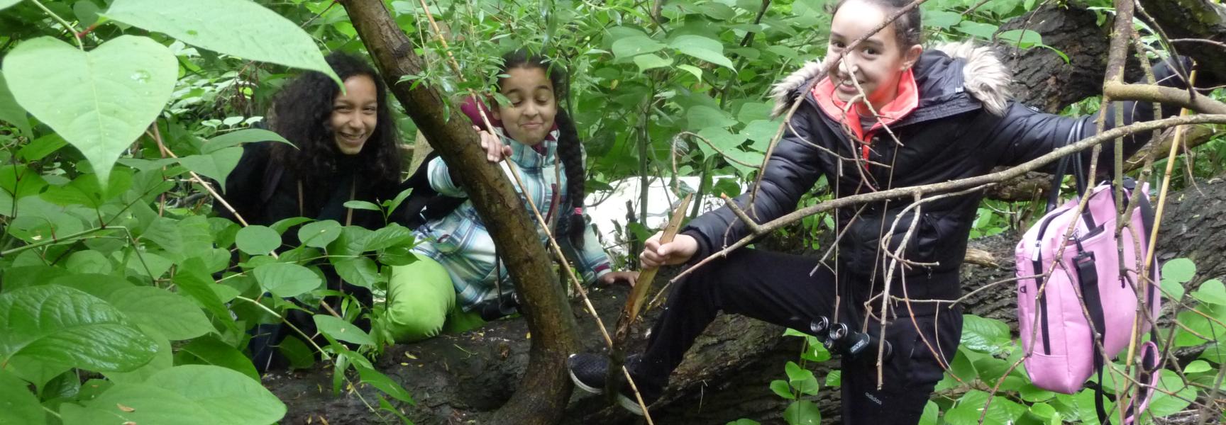 Veldles Eiland van Brienenoord