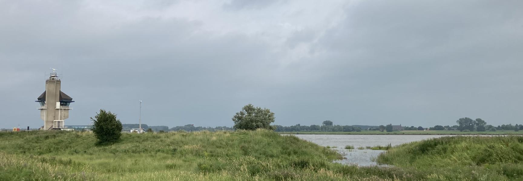 Grote delen van de Kleine Willemswaard in Tiel zullen overstromen. Foto: Emmie Nuijen, Rivier Actief