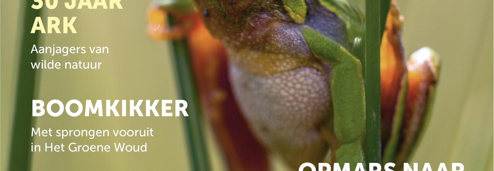 ARK Jaarverslag 2019