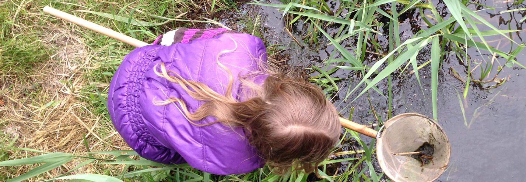 Klimaatbuffer IJsselmonde