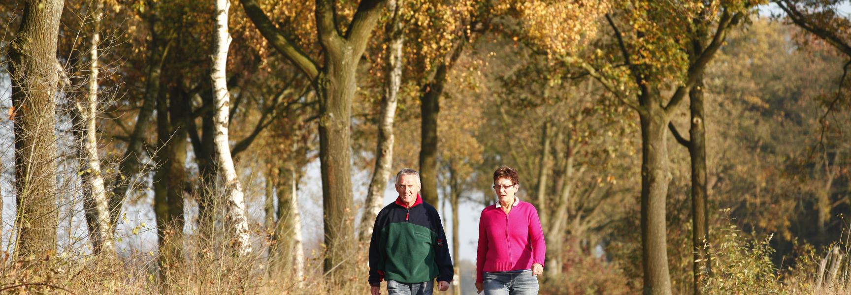 Wandelen op de Stramprooierheide. Foto: Bob Luijks
