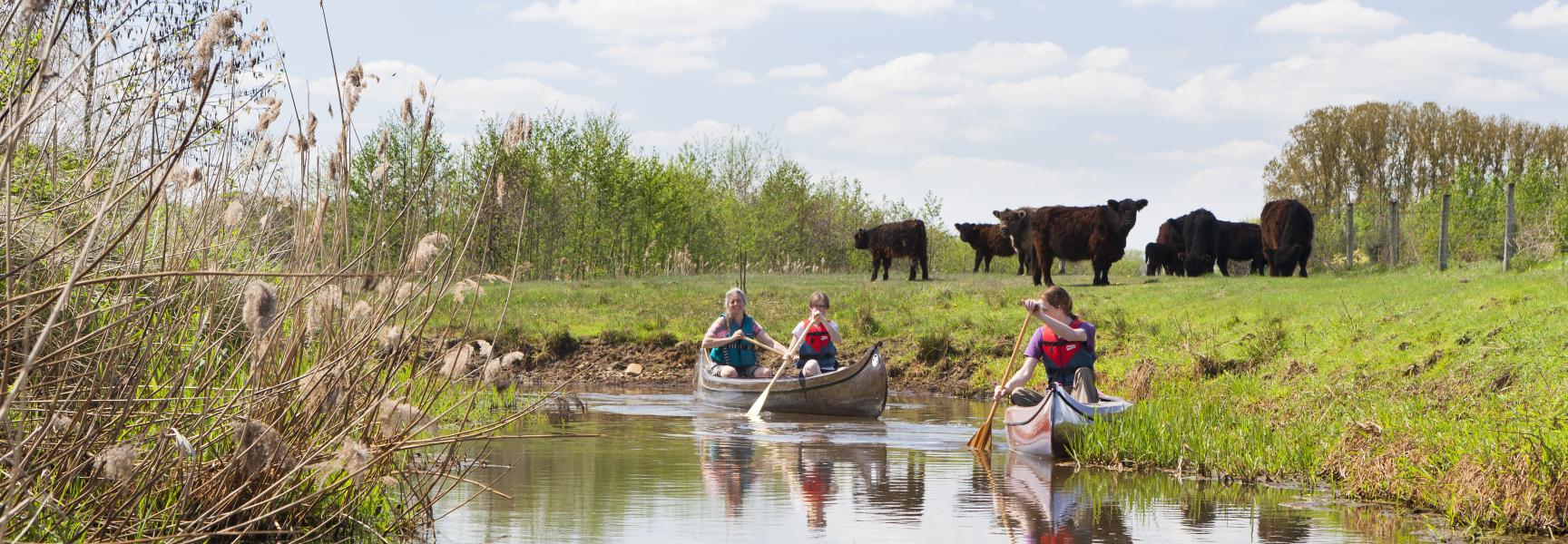 Kanoën Tungelroysebeek
