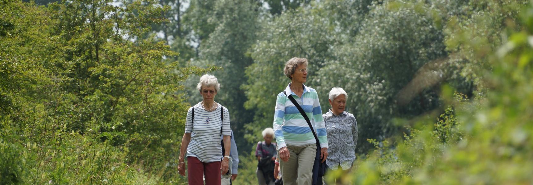 Wandelen