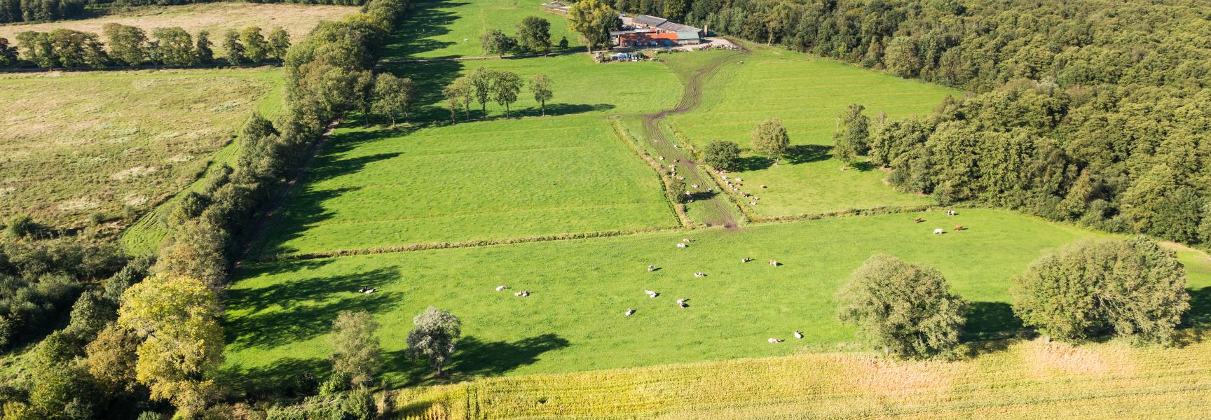 Wijffelterbroek - Foto: Erwin Christis