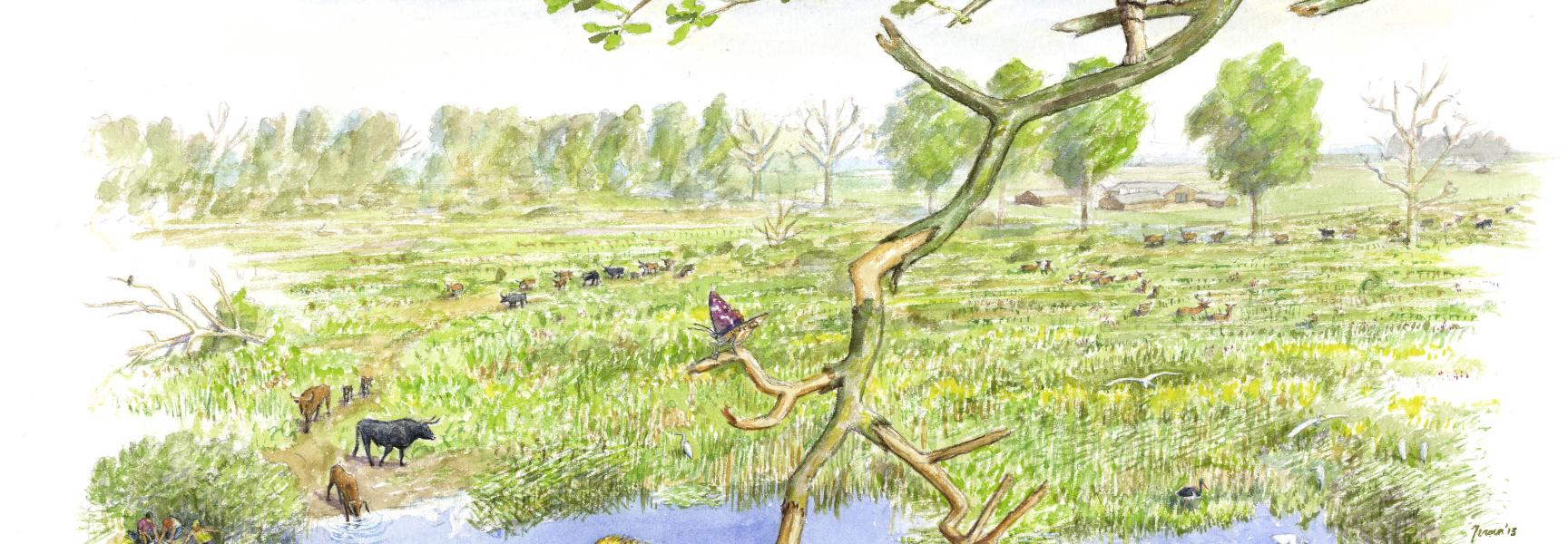 Toekomstbeeld Siendonk