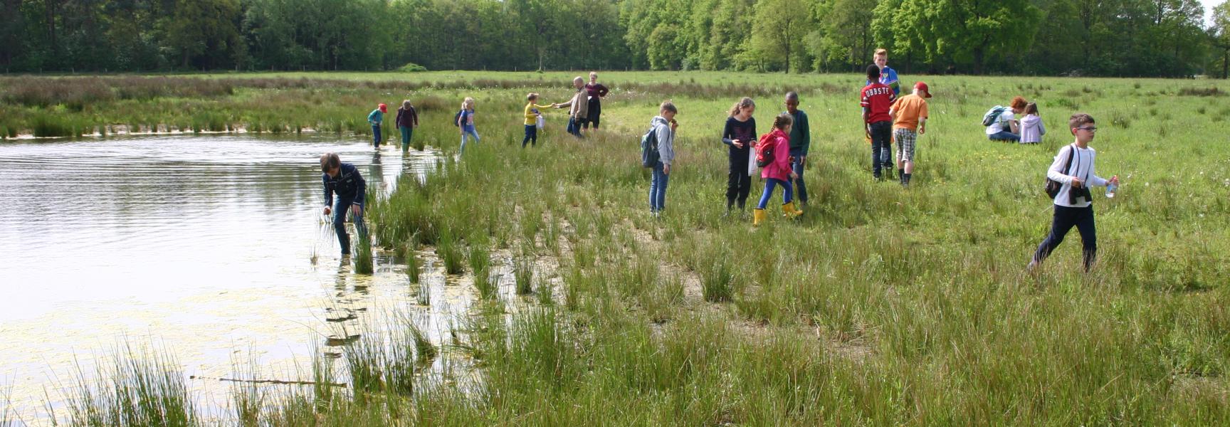 Veldles Kempen~Broek