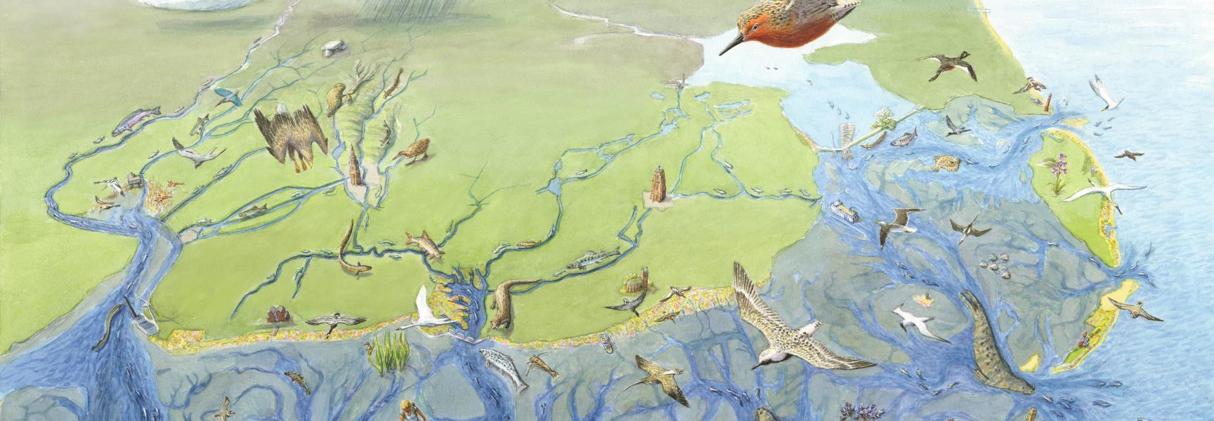 Waddenkaart, tekening: Jeroen Helmer