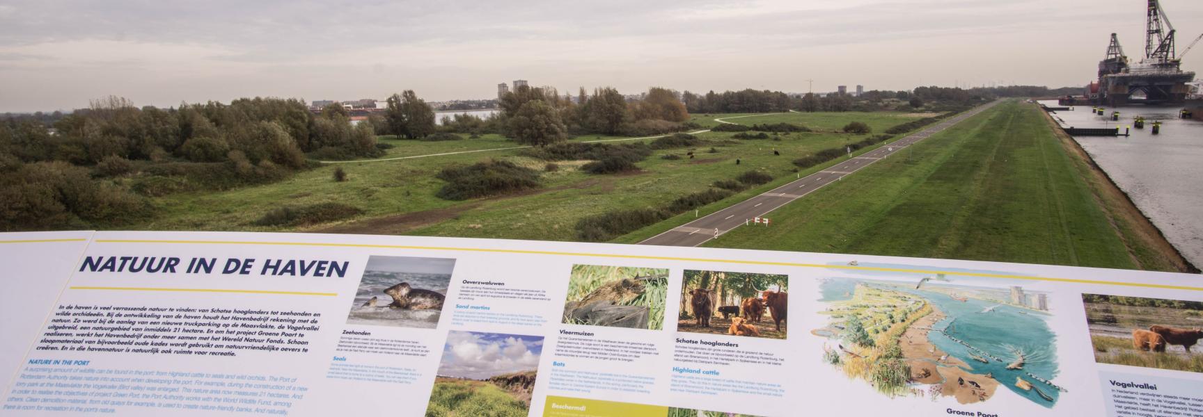 Uitkijktoren Landtong Rozenburg, foto Wim van Vliet