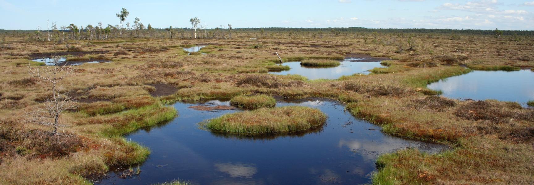 Letland Hoogveen Kirbas Purvs