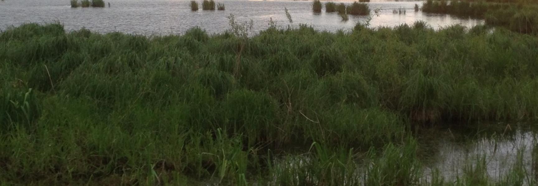 Zonsondergang langs de Dviete. Foto: Lex van Drongelen