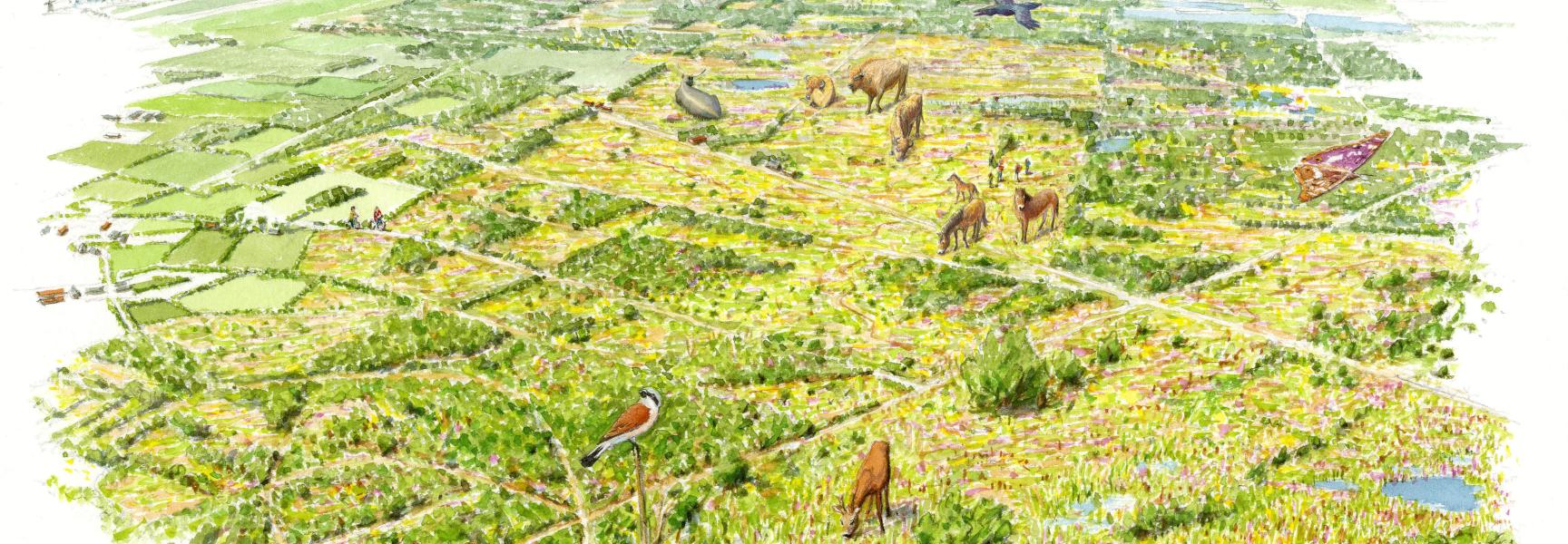 Toekomstbeeld Maashorst