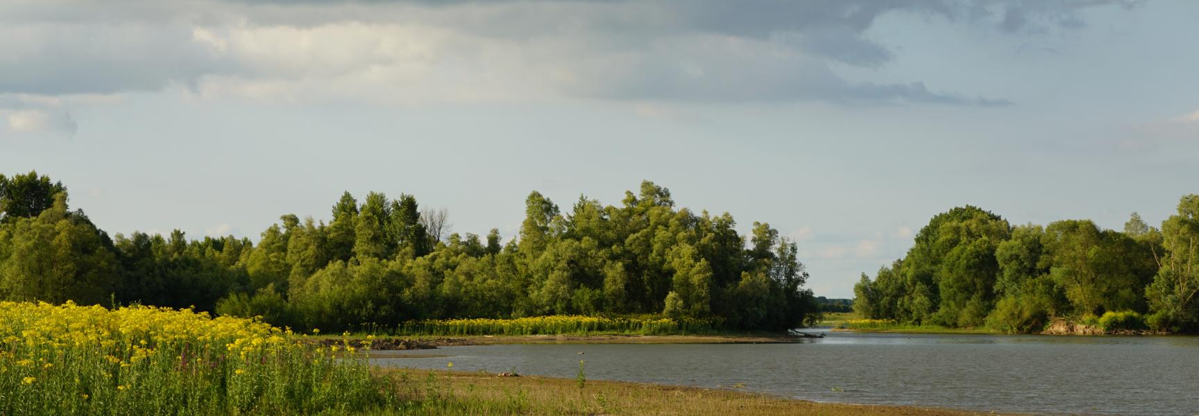 Kijkhuisplas