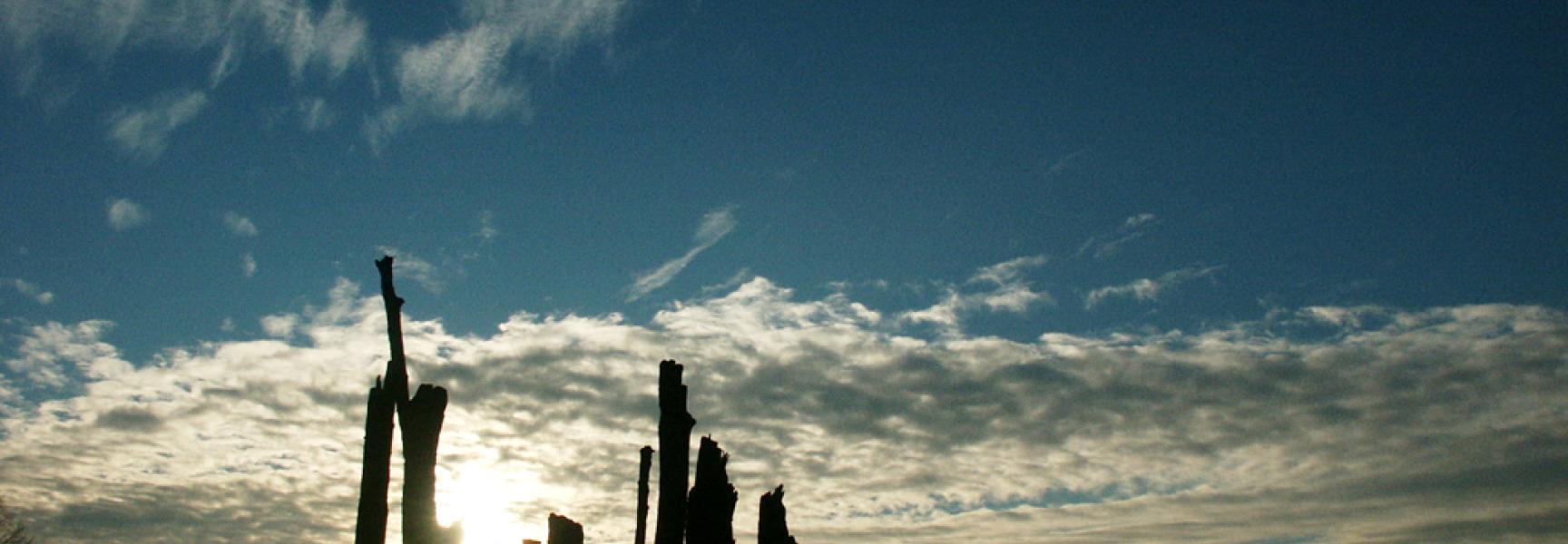 Bomenmonument Millingerwaard