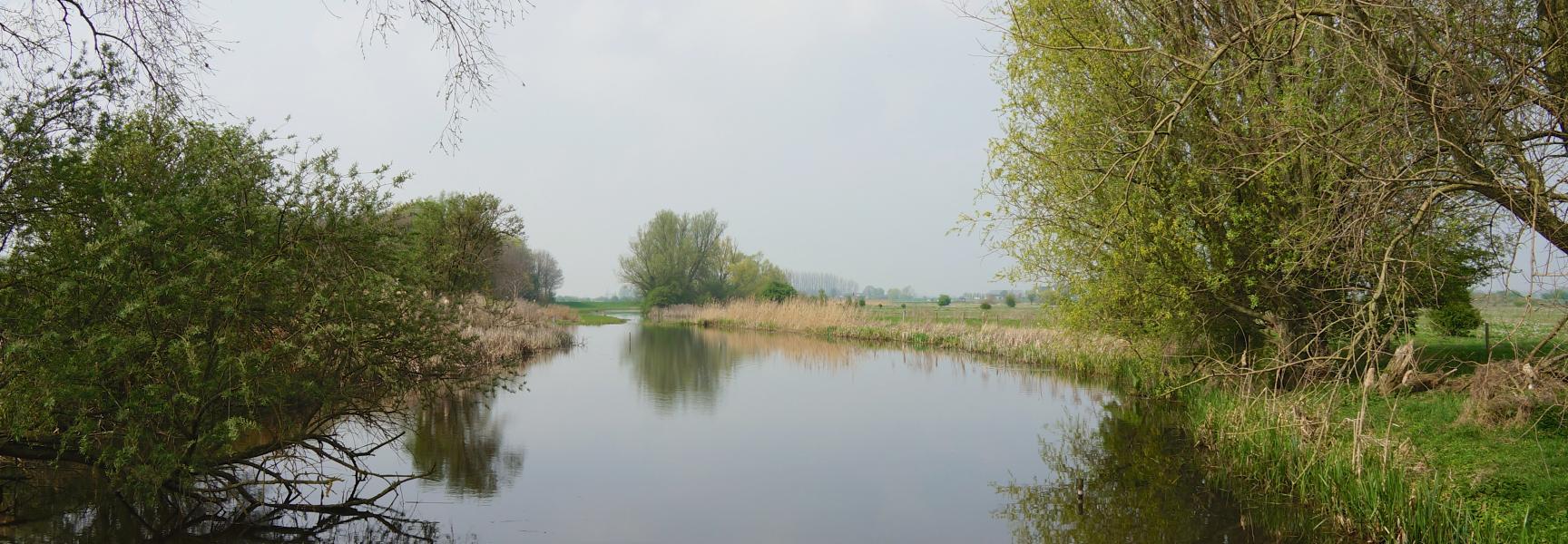 Oude Rijn