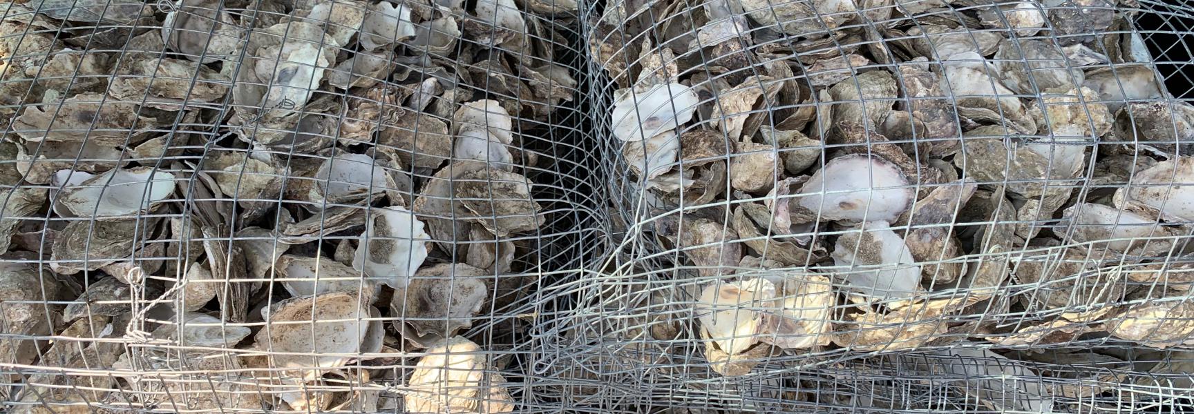 Zakken met lege schelpen