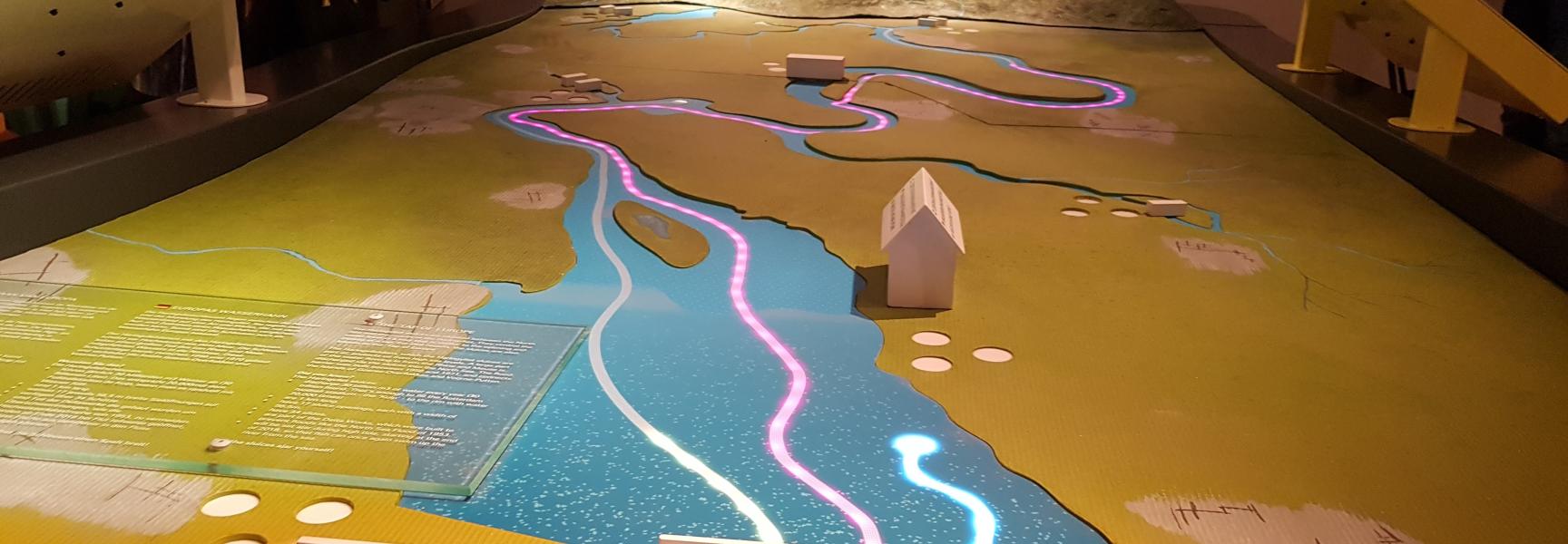 Tentoonstelling Swim Fish Swim!