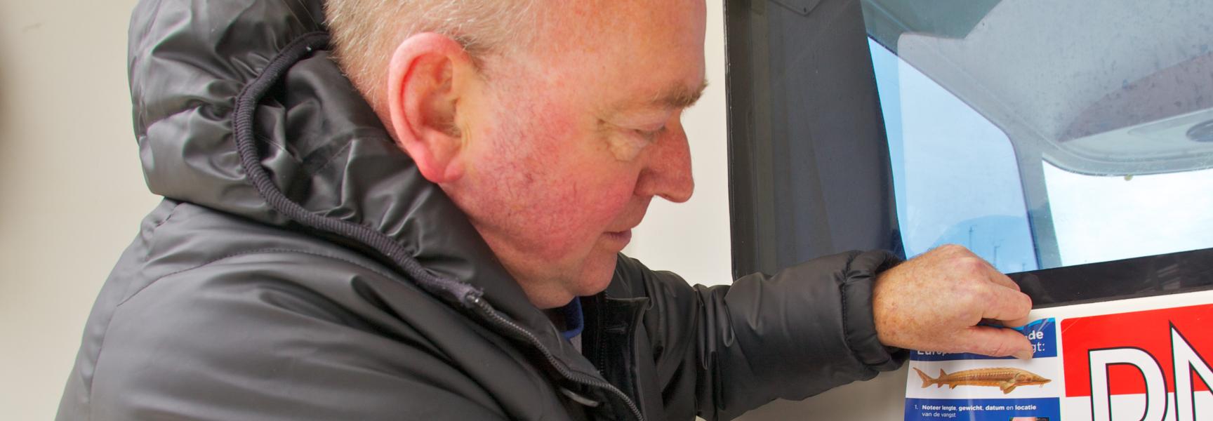 Steurensticker met stappenplan voor vangst steur