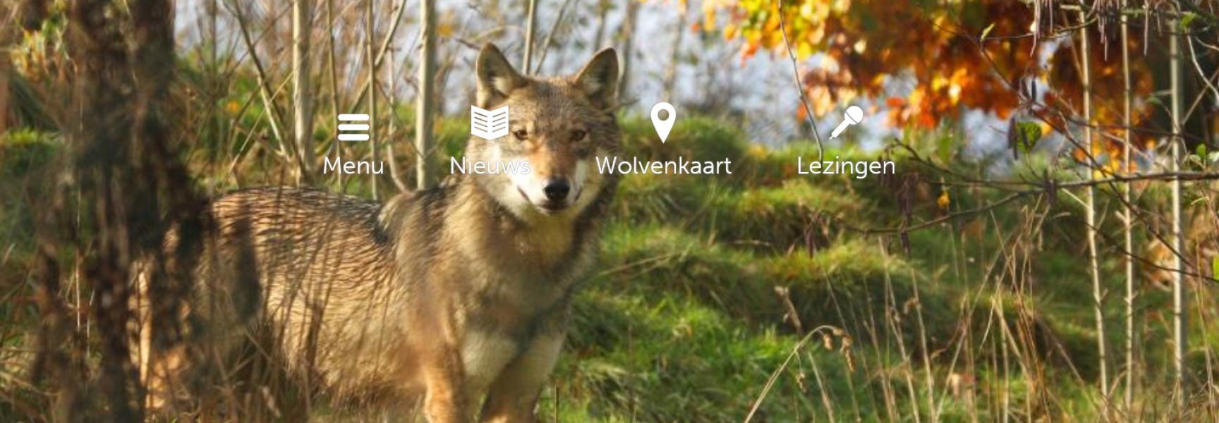 Website Wolven in Nederland