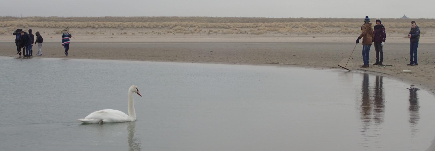 Veldles op de Zandmotor