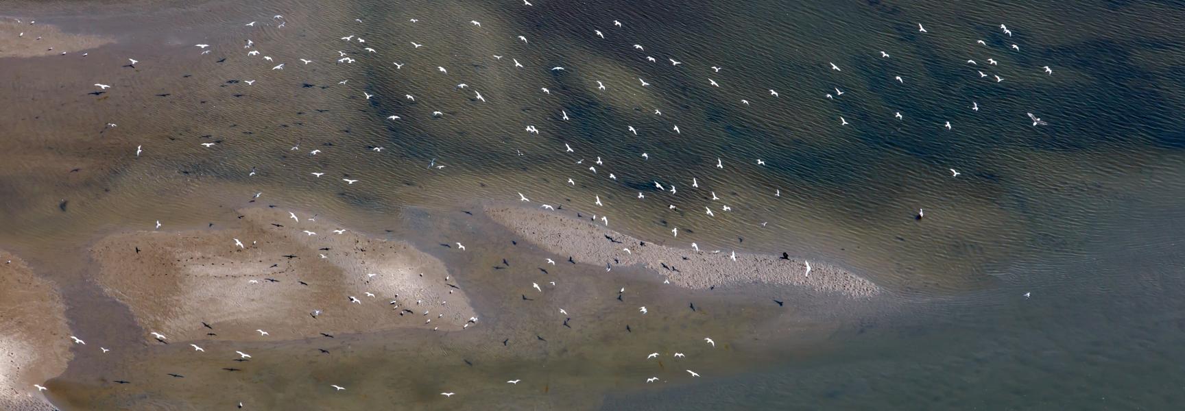 Zandmotor, foto: Rijkswaterstaat - Jurriaan Brobbel