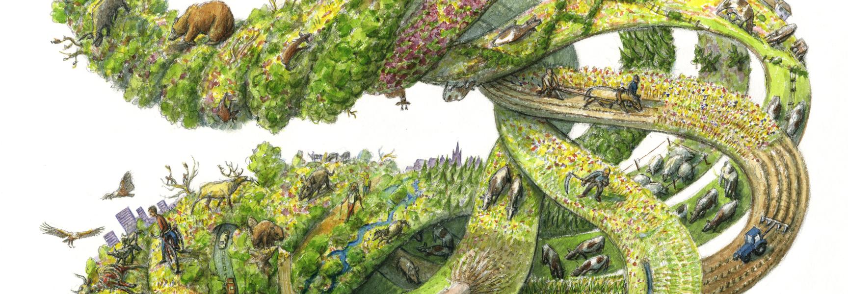 Past, present and future of European nature