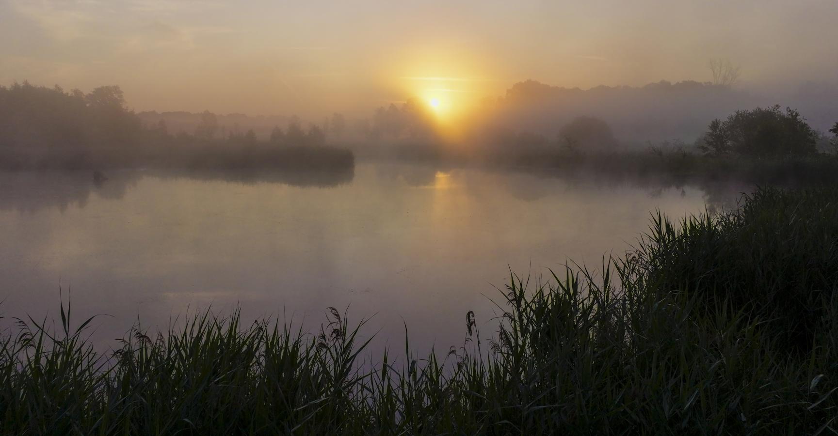 Rewildingslandschap in het KempenBroek