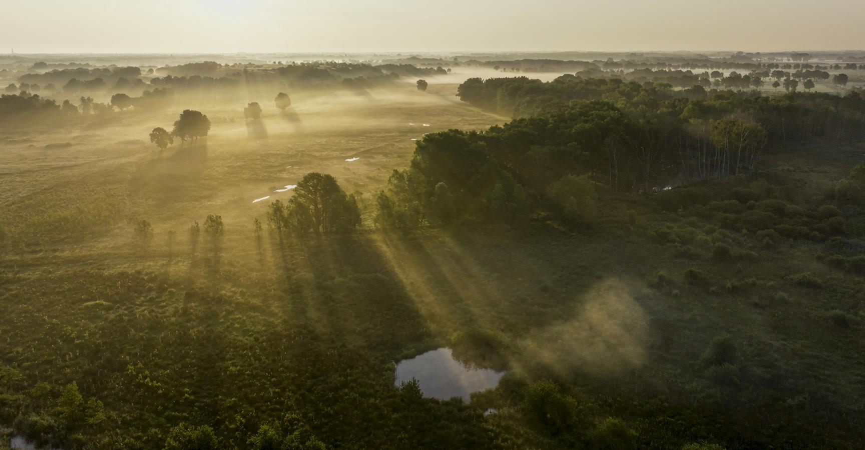 Rewildingslandschap in het KempenBroek