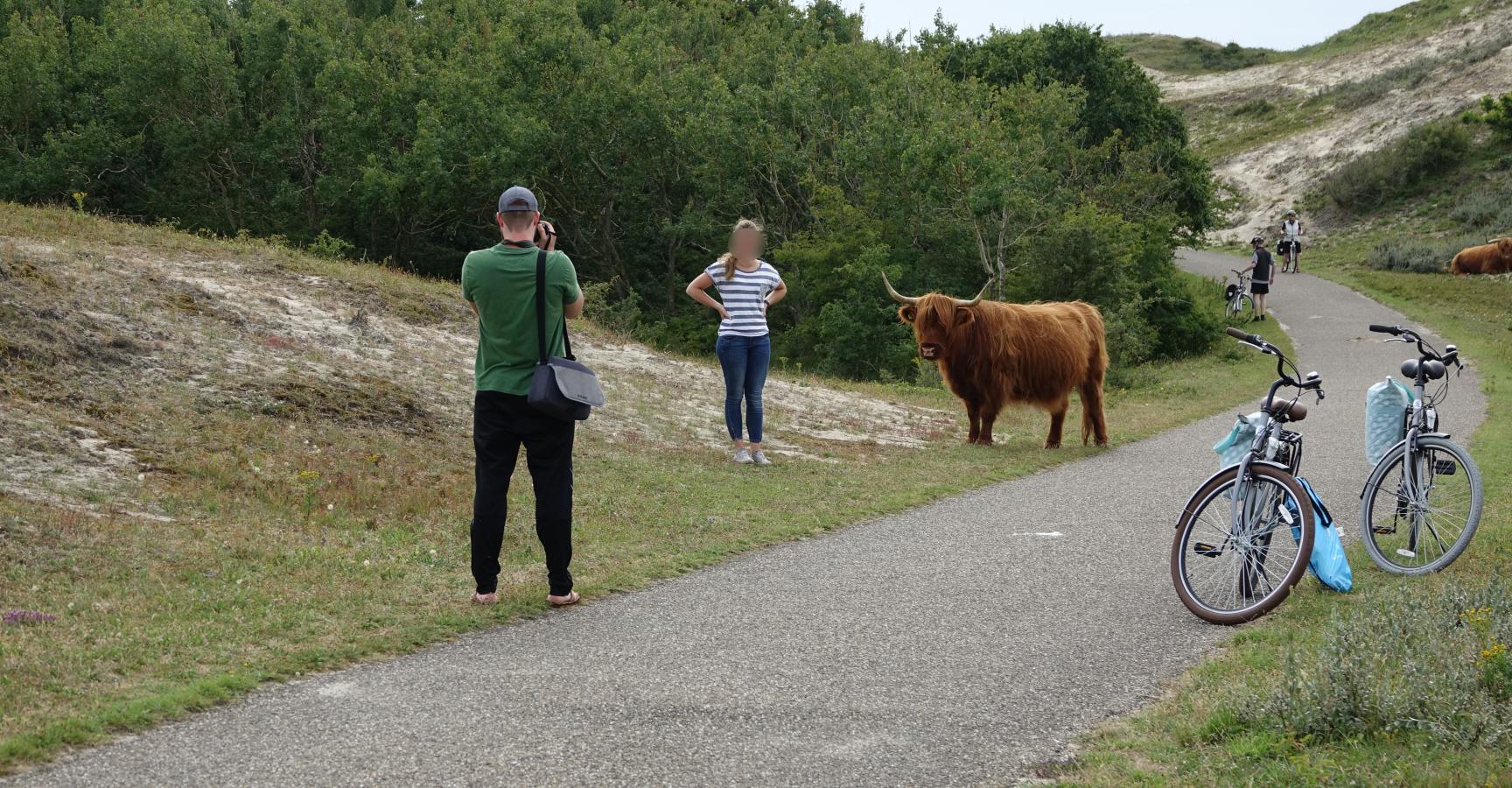 Gun de grazers ruimte, rust en privacy. Die hebben ze nodig.