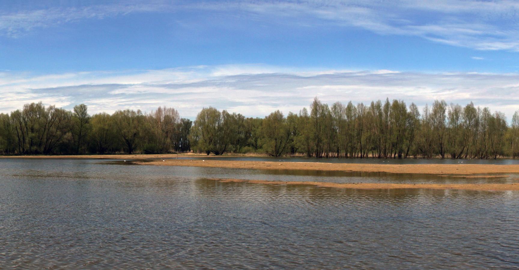 Klimaatbuffer Beuningen