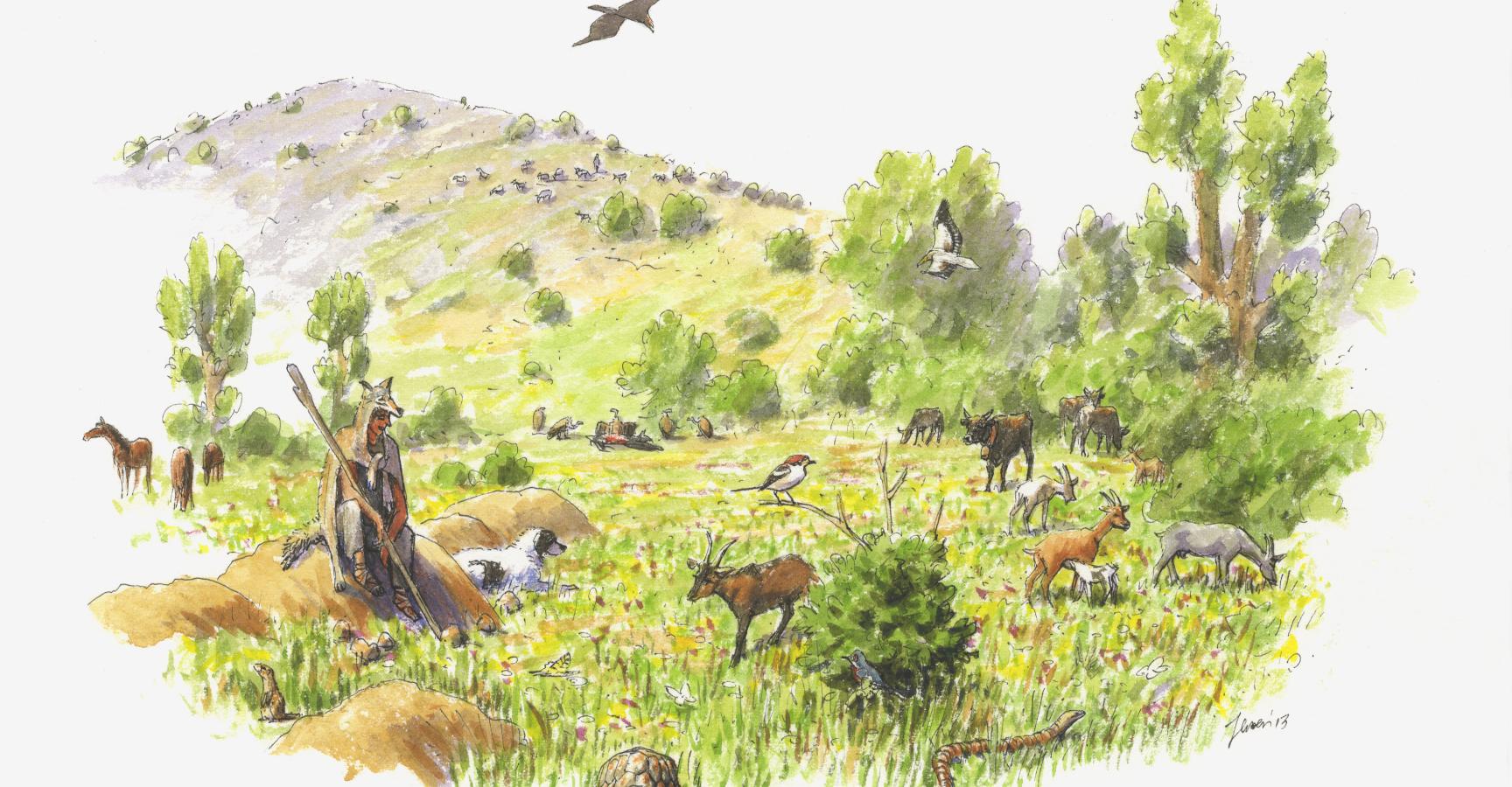 Herder in Bulgaarse Rhodopen