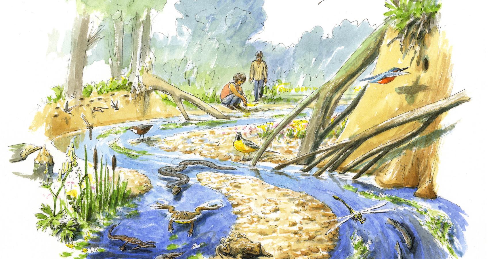 Geuldal Tekening Jeroen Helmer