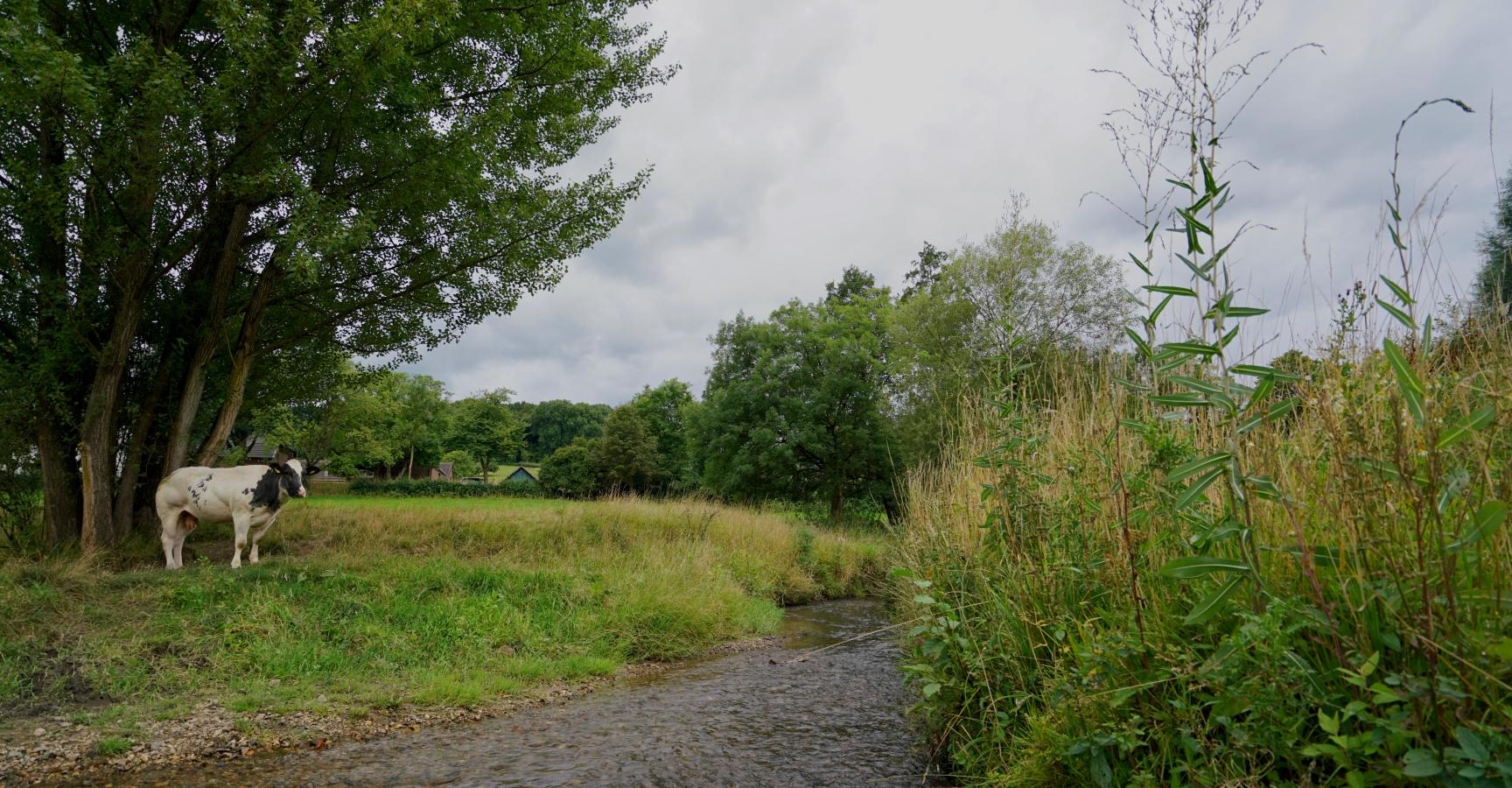 Gulpdal bij Slenaken