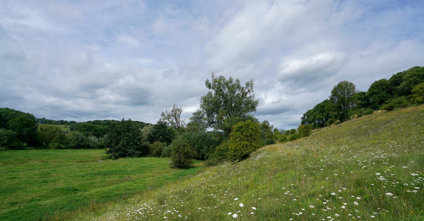 Gulpdal bij Slenaken. Foto: Twan Teunissen