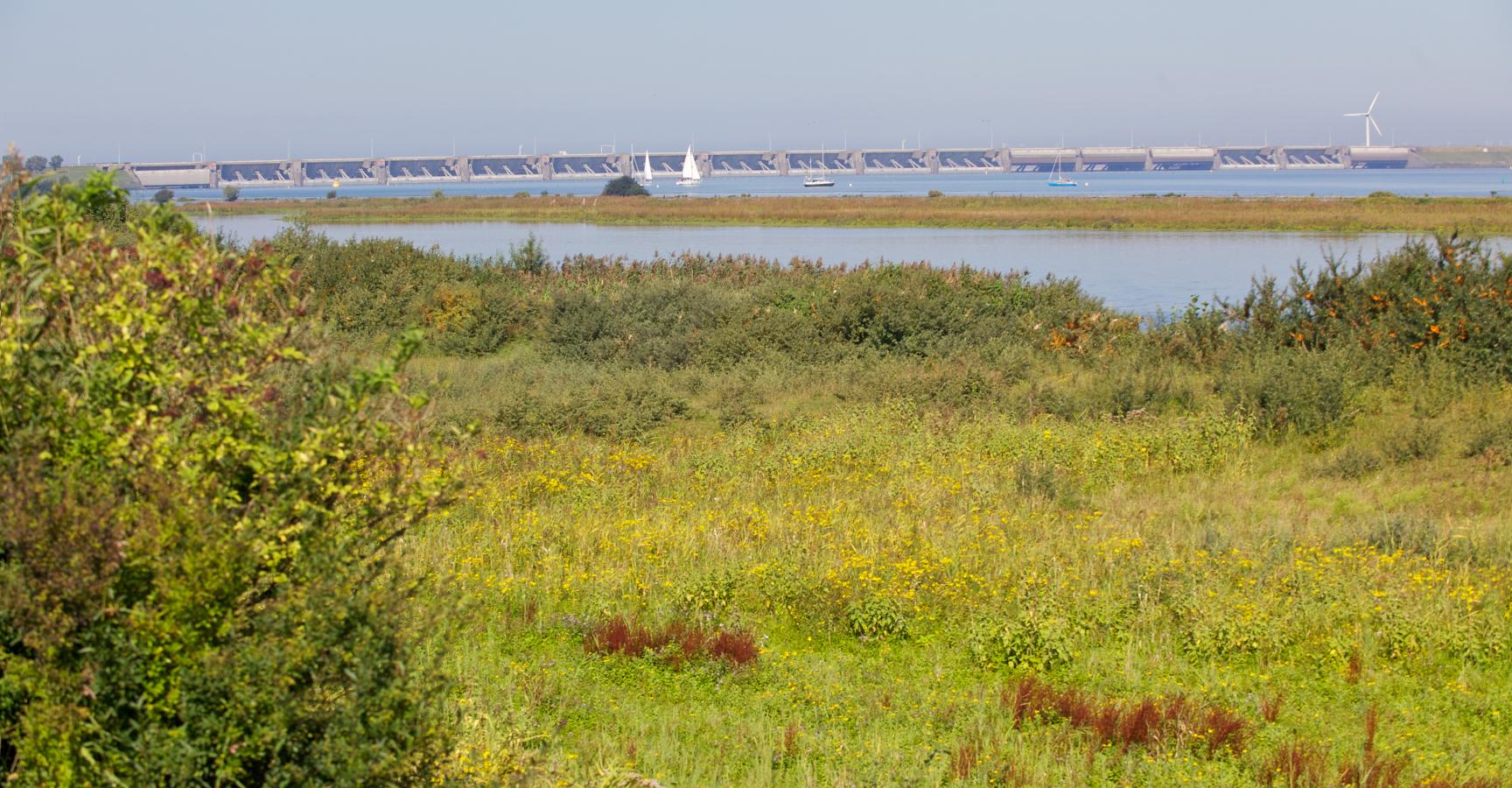 Haringvlietsluizen bij Stellendam
