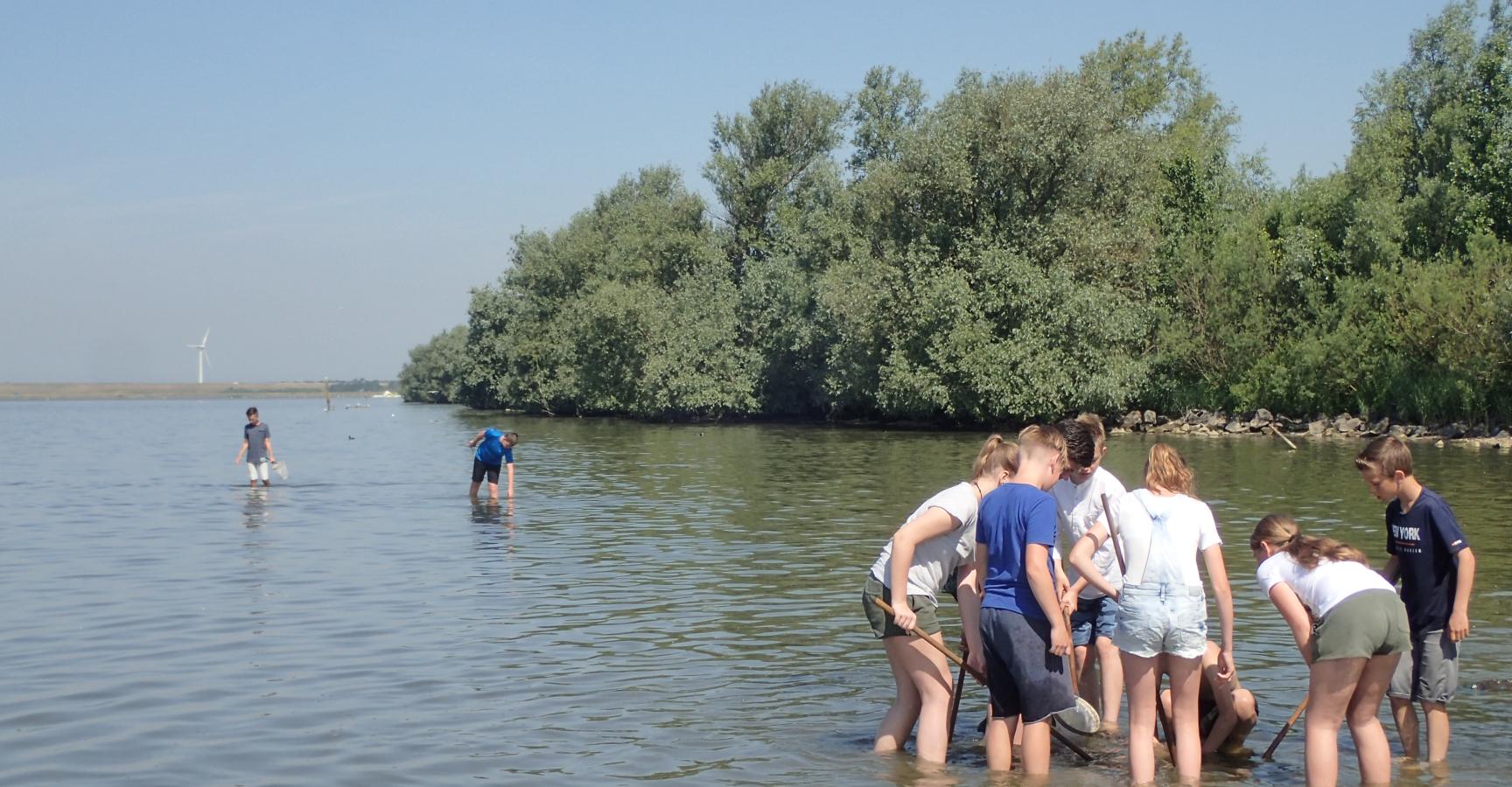 Natuuravontuur Haringvliet Quackstrand