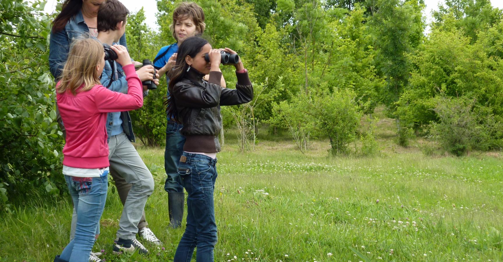 Klimaatbuffer IJsselmonde