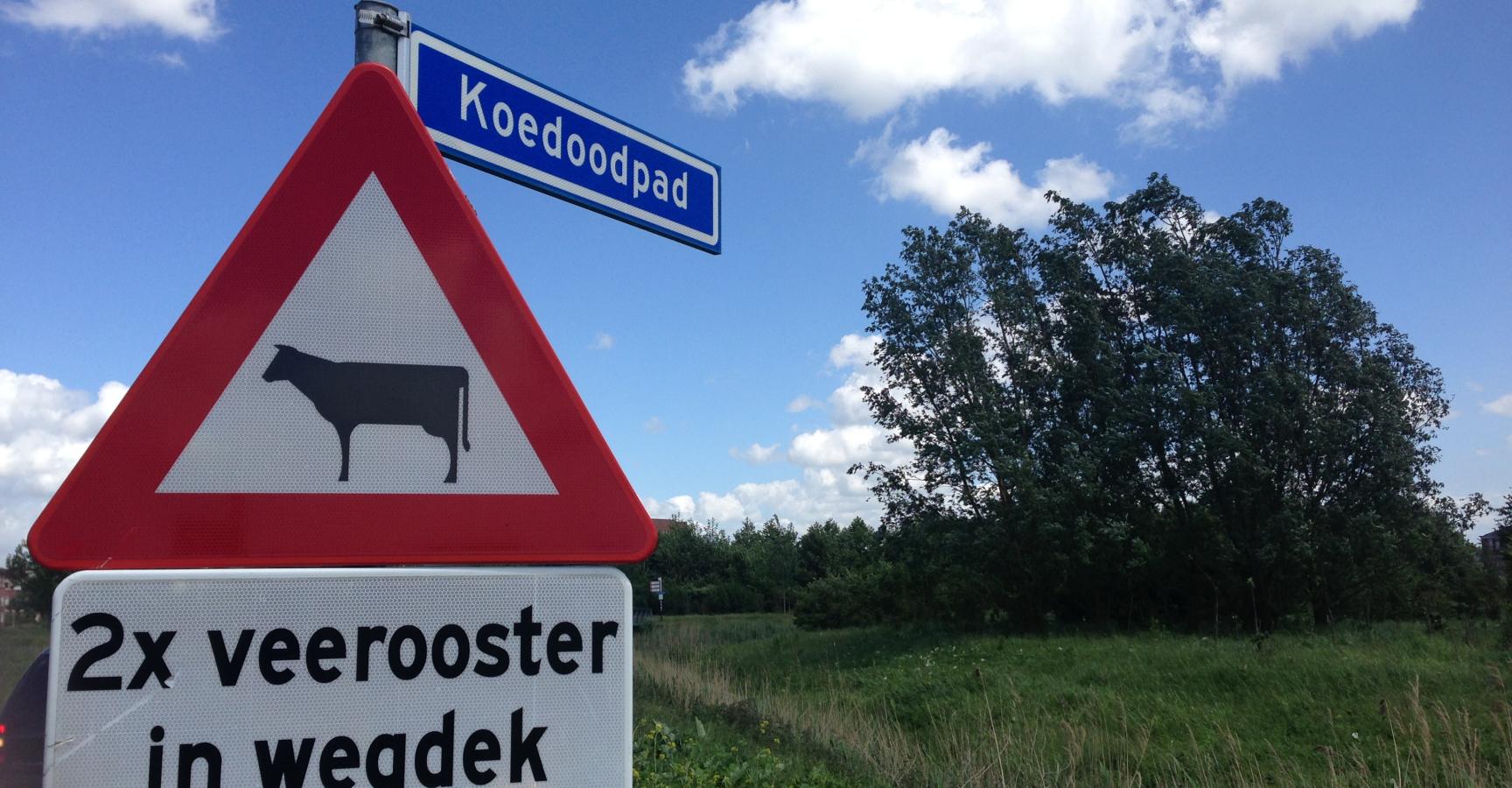 Klimaatbuffer IJsselmonde