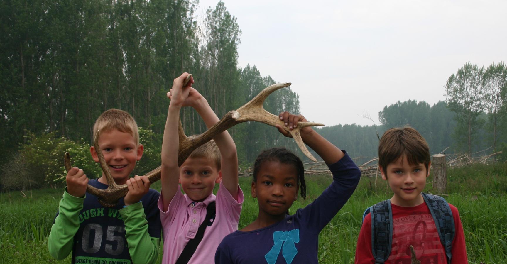 Veldles Oostvaardersbos