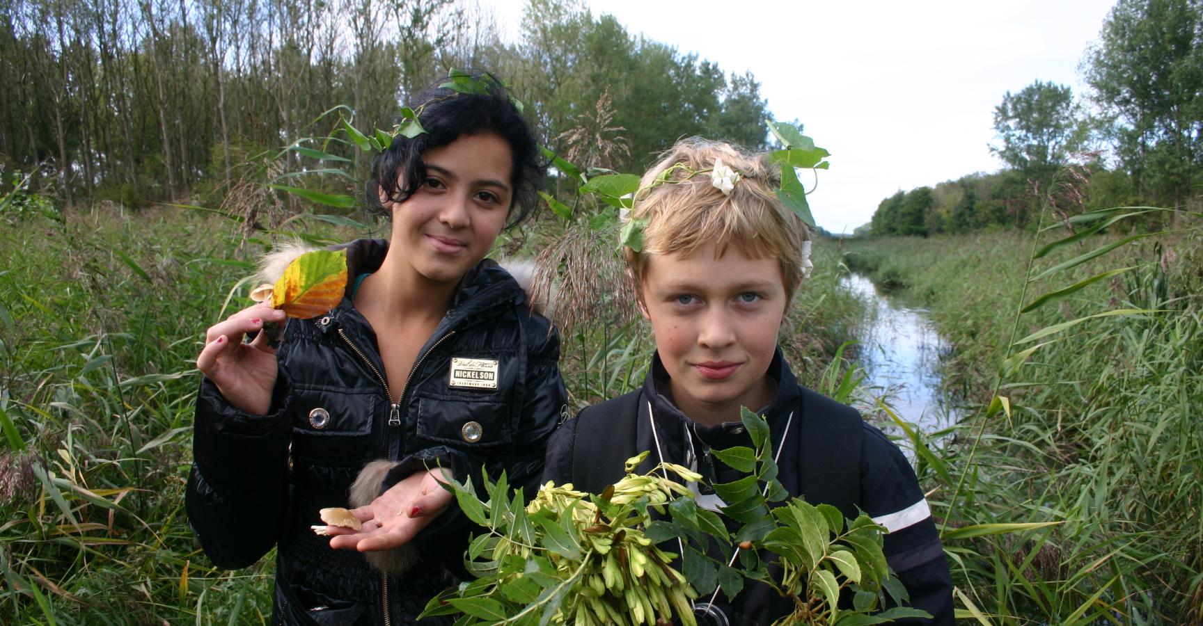Veldles Oostvaardersbos