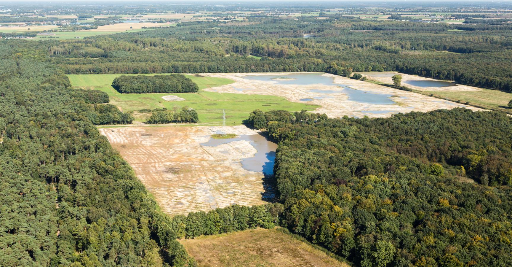 Weerterbos Grashut 2012 - Foto: Erwin Christis