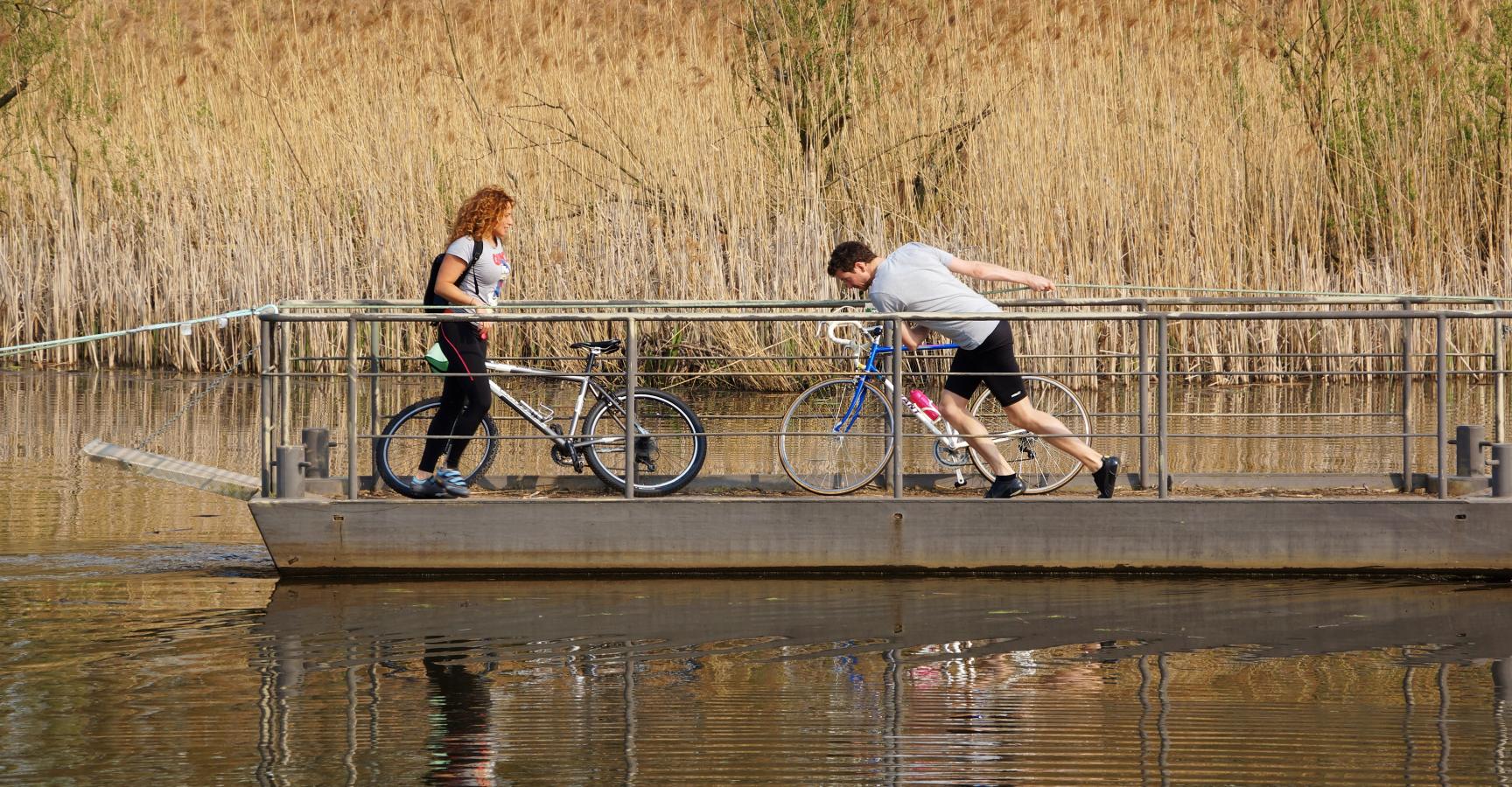 Trekpontje Berghoofdse Veer Rijnstrangen 