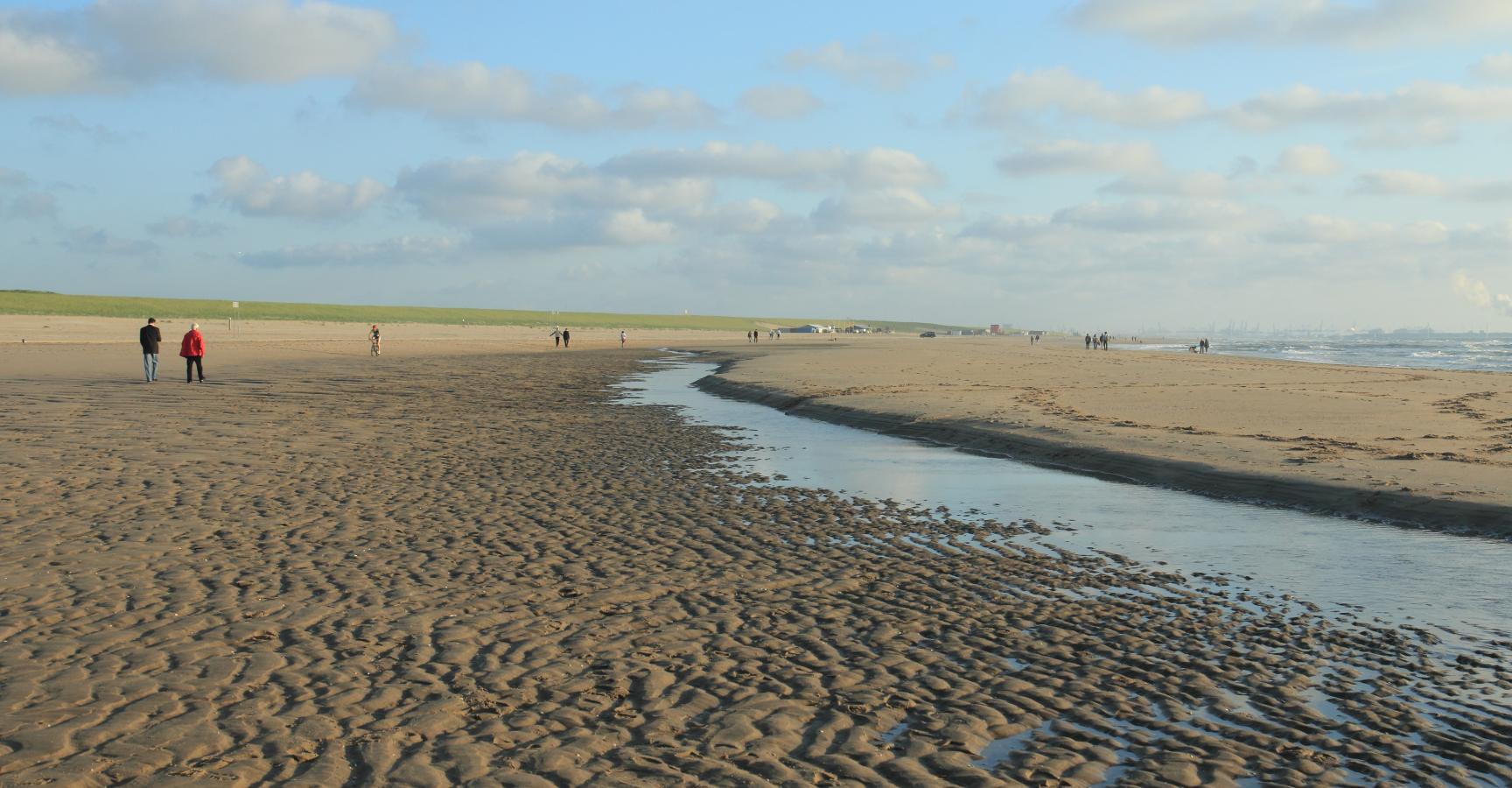 Zandmotor wadvlakte en zandbank 