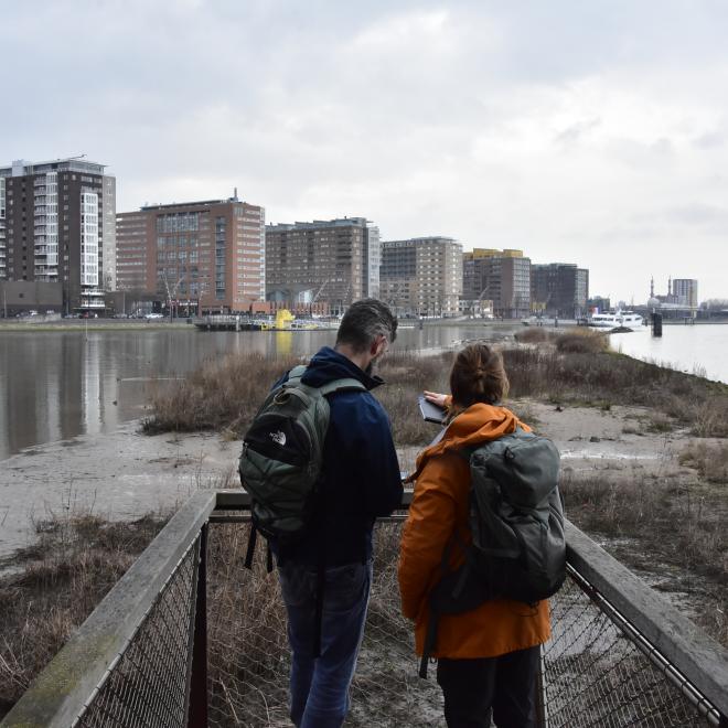 Vegetatie monitoring op het Eiland van Brienenoord