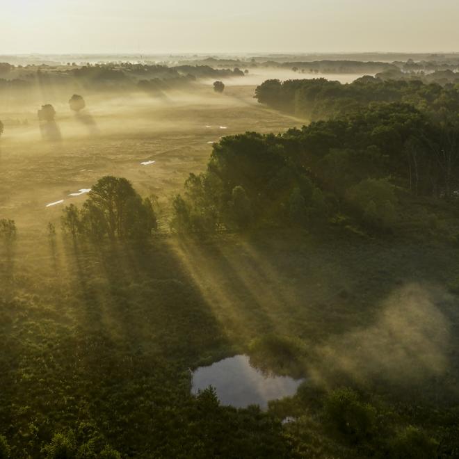 Rewilding in het KempenBroek