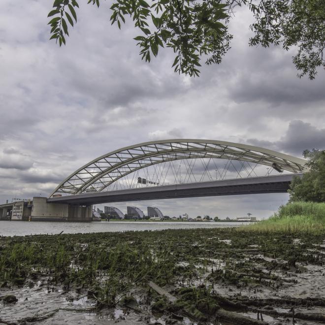 Eiland van Brienenoord