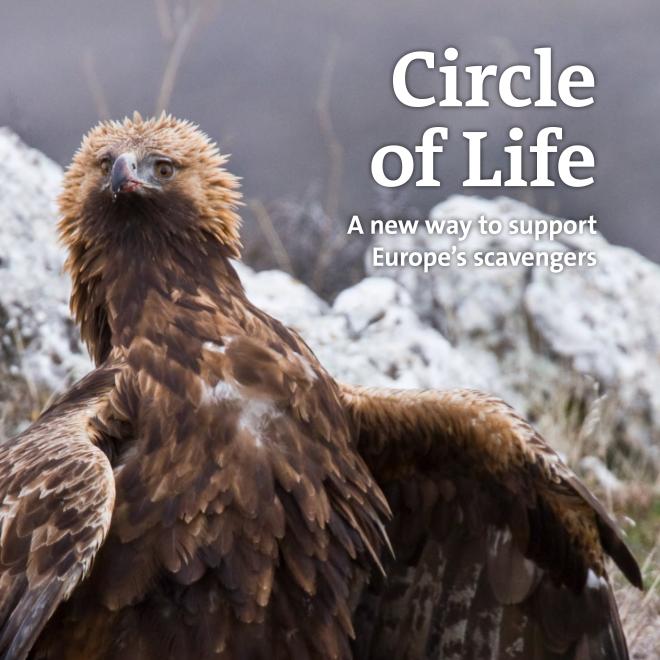 Brochure Circle of Life
