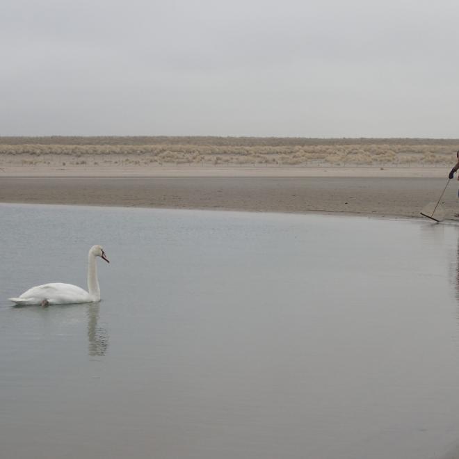 Veldles op de Zandmotor