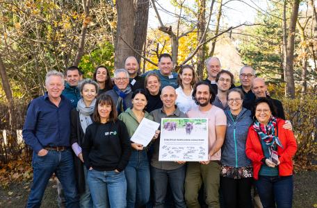 ARK bundelt krachten voor wilder Europa